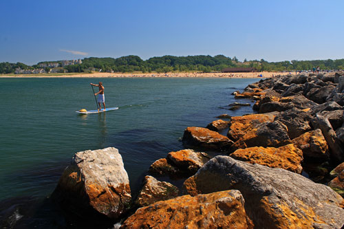 paddle boarding along the beach at holland state park